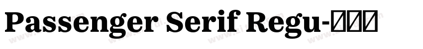 Passenger Serif Regu字体转换